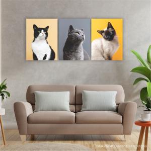 Conjunto Canvas - Animais Tecido Canvas Impresso 91,5x40,5 Vários modelos  Não inclui moldura 
