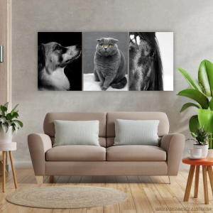 Conjunto Quadro Canvas - Animais Tecido Canvas Impresso 91,5x40,5   Estrutura em Madeira 