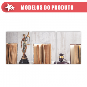 Conjunto Quadro Canvas - Poder da Justiça