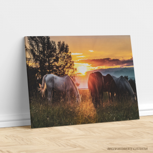 Canvas - Cavalos Grande Tecido Canvas Impresso Três Tamanhos   Não inclui moldura 